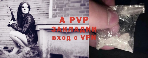 мдпв Осташков