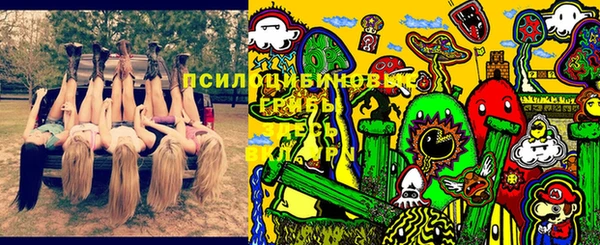мдпв Осташков