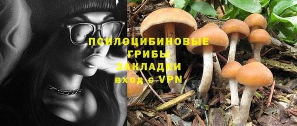 герыч Осинники