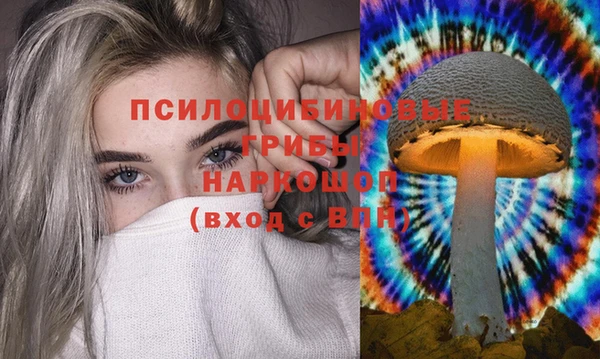 герыч Осинники