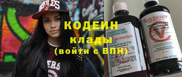 мдпв Осташков