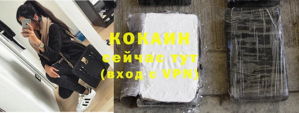 мдпв Осташков