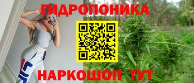 прущие крисы Балаково