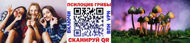 Псилоцибиновые грибы Psilocybine cubensis Богданович