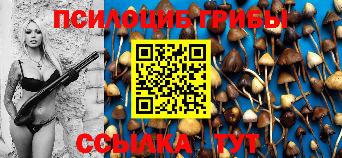 Галлюциногенные грибы GOLDEN TEACHER  Вход с VPN  Богданович 